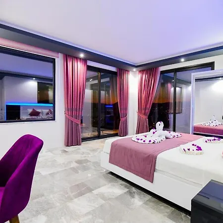 Pelit * Kalkan